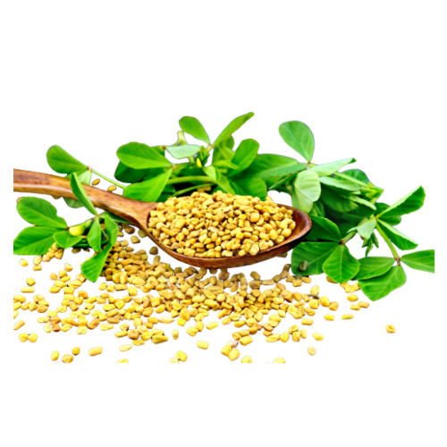 Fenugreek seeds